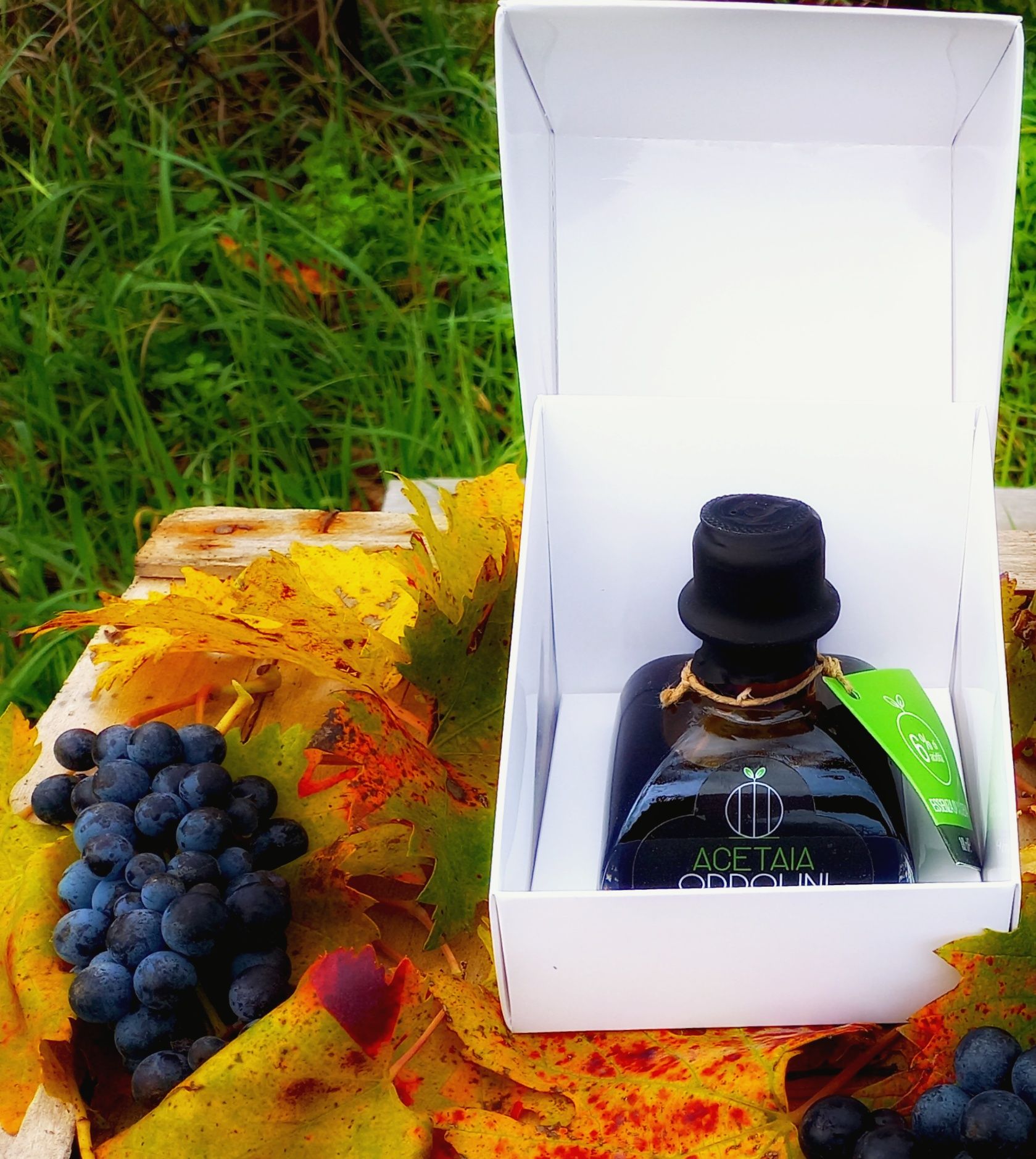 Acetaia Oddolini社 バルサミコ酢製造 イタリア | EU-Japan Centre